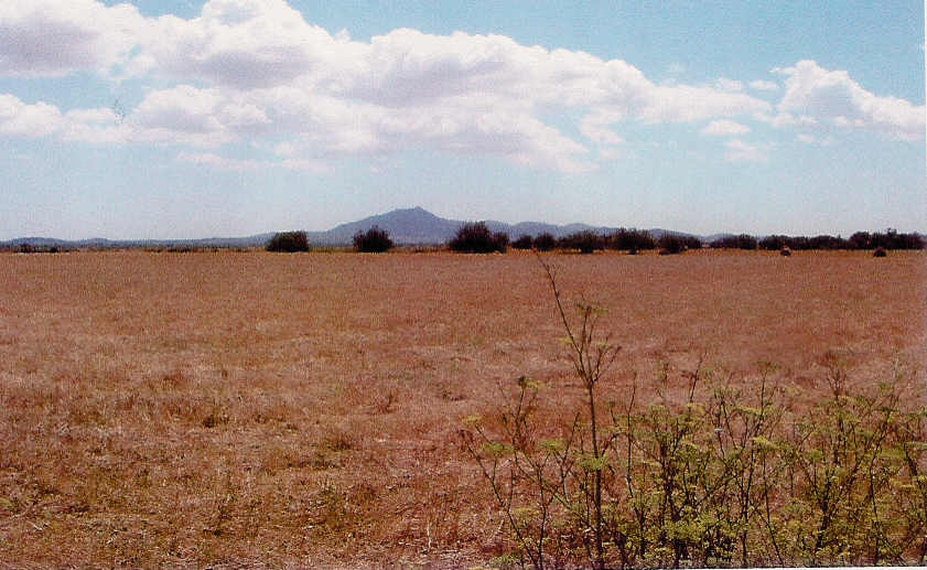 Felanitx 155000,-.jpg